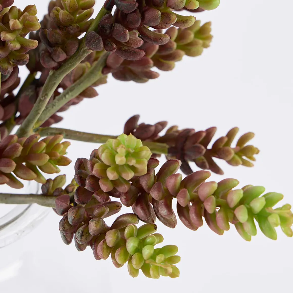 Artificial Burgundy Sedum Burrito Succulent Stem