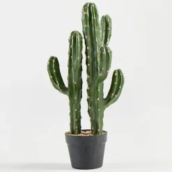 Artificial Mexican Cactus
