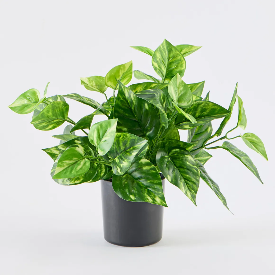 Artificial Mini Pothos Light Green Plant