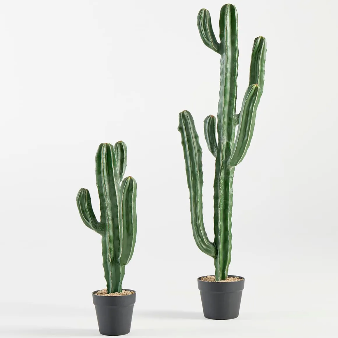 Artificial San Pedro Cactus