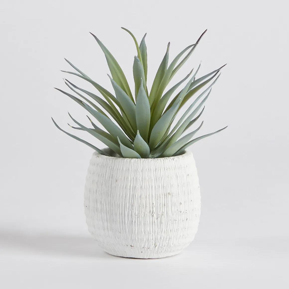 Avalon Yucca Artificial Potted Succulent