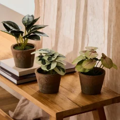 Botanic Artificial Evergreen Potted Plant