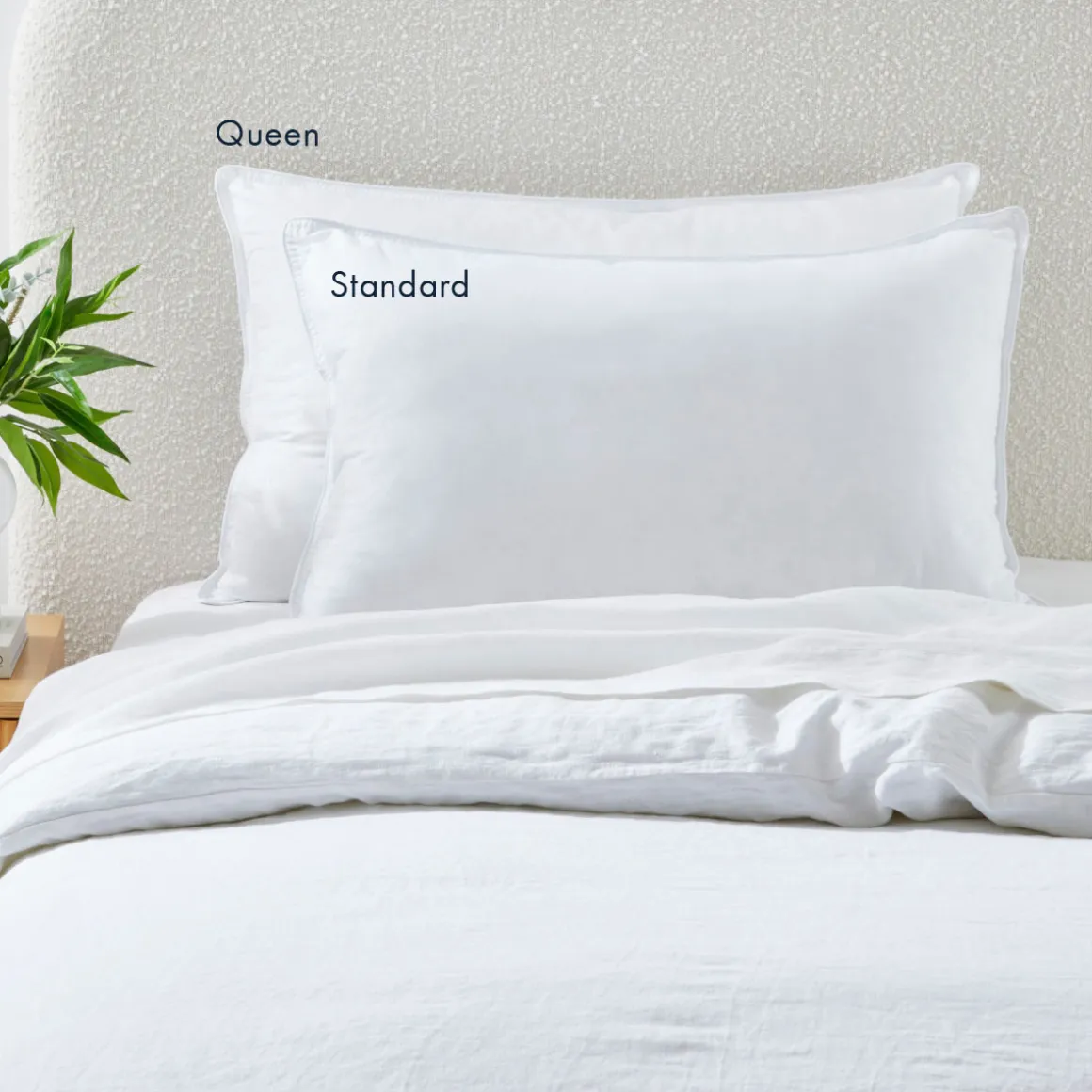 Classic Collection Standard Pillow
