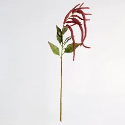 Hanging Millet Stem
