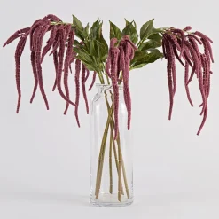 Hanging Millet Stem