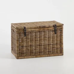 Hendrick Rectangle Trunk