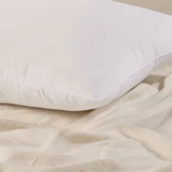 2 Pack Standard Pillows