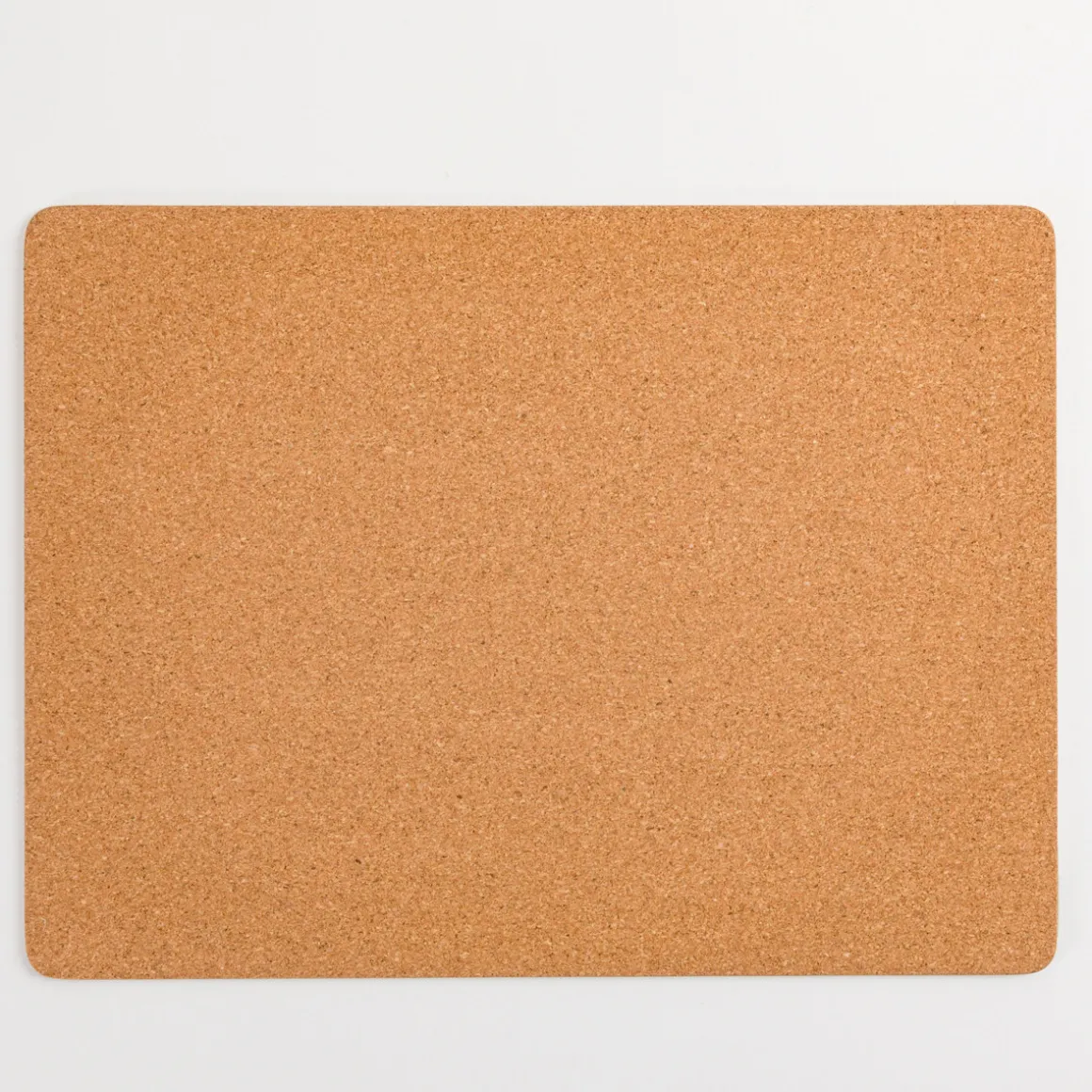 Paths of Rest Cork Placemat Set of 6