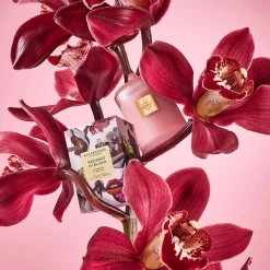Radiance In Bloom 380g Candle