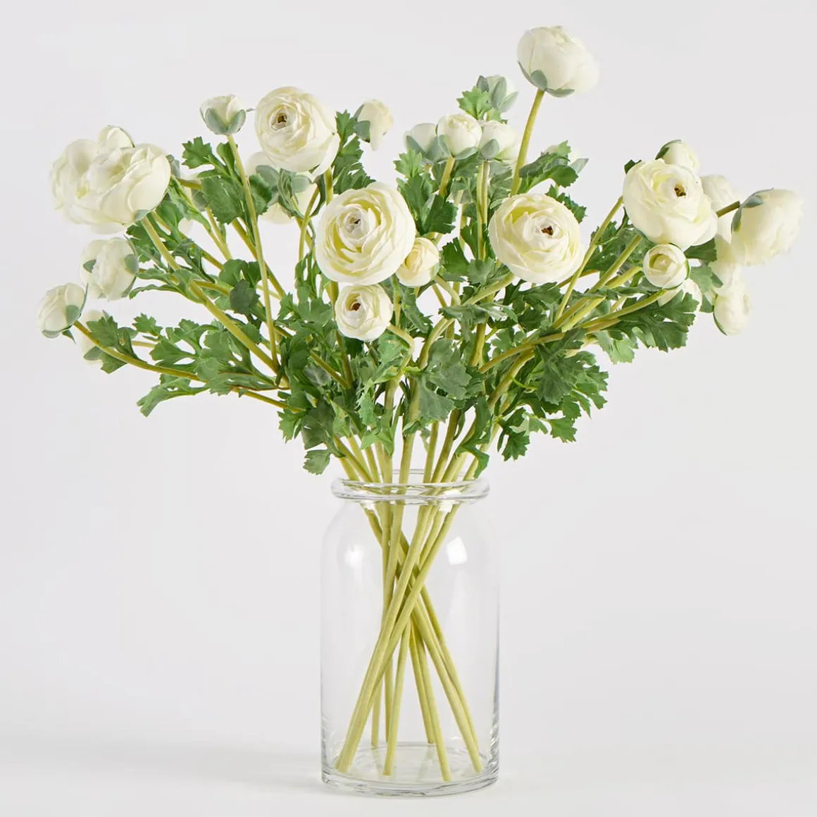 Wild Ranunculus Stem